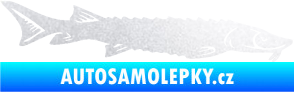 Samolepka Ryba 020 pravá jeseter pískované sklo
