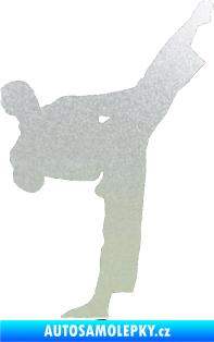 Samolepka Taekwondo 002 pravá pískované sklo