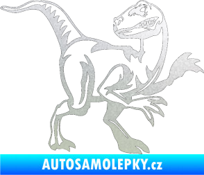 Samolepka Tyrannosaurus Rex 003 pravá pískované sklo