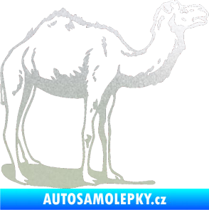 Samolepka Velbloud 001 pravá pískované sklo