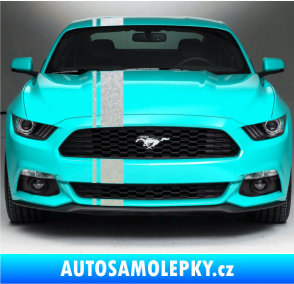 Samolepka Viper pruhy 2 cm + 12 cm pískované sklo