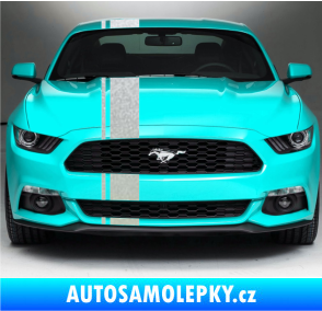 Samolepka Viper pruhy 2 cm + 14 cm pískované sklo