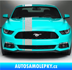Samolepka Viper pruhy 2 cm + 16 cm pískované sklo