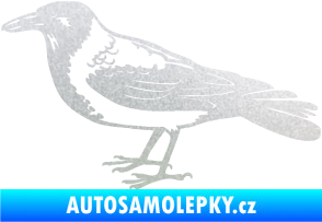 Samolepka Vrána 001 levá pískované sklo