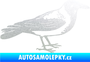 Samolepka Vrána 001 pravá pískované sklo