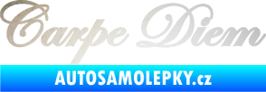 Samolepka Carpe diem nápis užívej dne odrazková reflexní bílá