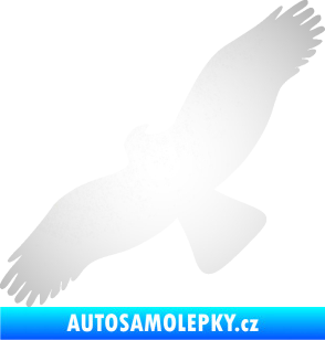 Samolepka Dravec na sklo 001 levá odrazková reflexní bílá