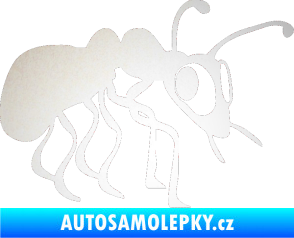 Samolepka Mravenec 001 pravá odrazková reflexní bílá