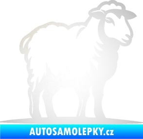 Samolepka Ovce 002 pravá odrazková reflexní bílá