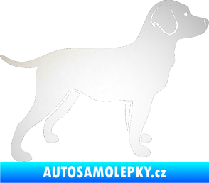 Samolepka Pes 062 pravá Labrador odrazková reflexní bílá