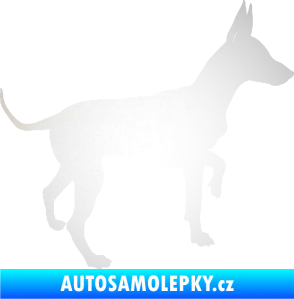 Samolepka Pes 093 pravá Pražský krysařík odrazková reflexní bílá