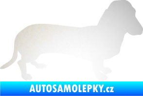 Samolepka Pes 094 pravá Baset odrazková reflexní bílá