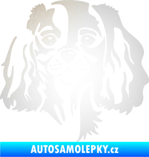 Samolepka Pes 132 pravá Cavalier king Charles spaniel odrazková reflexní bílá
