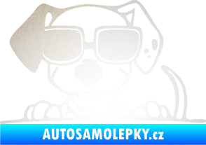 Samolepka Pes s brýlemi 101 levá v autě odrazková reflexní bílá