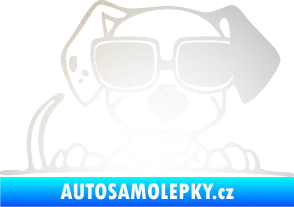 Samolepka Pes s brýlemi 101 pravá v autě odrazková reflexní bílá