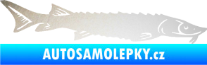 Samolepka Ryba 020 pravá jeseter odrazková reflexní bílá