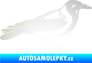 Samolepka Vrána 001 pravá odrazková reflexní bílá