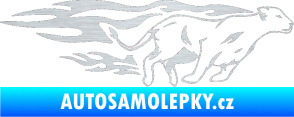 Samolepka Animal flames 084 pravá lvice škrábaný hliník