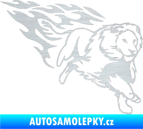 Samolepka Animal flames 087 pravá lev škrábaný hliník