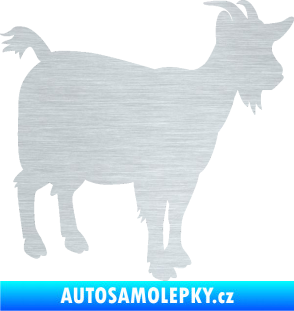 Samolepka Koza 001 pravá škrábaný hliník