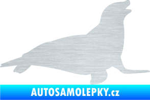 Samolepka Lachtan 002 pravá škrábaný hliník