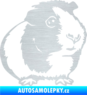 Samolepka Morče 003 pravá škrábaný hliník