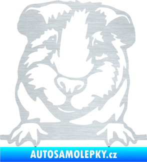 Samolepka Morče 004 levá škrábaný hliník