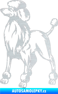 Samolepka Pes 014 levá Pudl škrábaný hliník