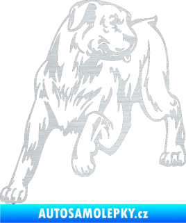 Samolepka Pes 020 levá škrábaný hliník