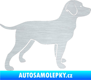 Samolepka Pes 062 pravá Labrador škrábaný hliník