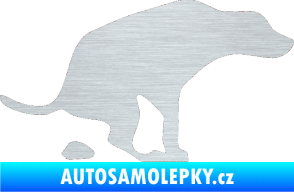 Samolepka Pes 077 pravá škrábaný hliník