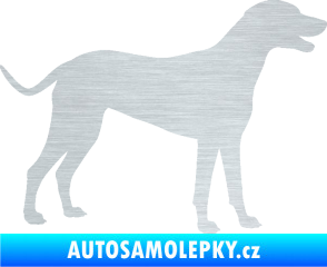 Samolepka Pes 095 pravá Dalmatin škrábaný hliník