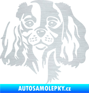 Samolepka Pes 132 pravá Cavalier king Charles spaniel škrábaný hliník