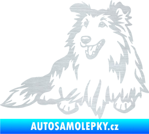 Samolepka Pes 162 levá sheltie škrábaný hliník