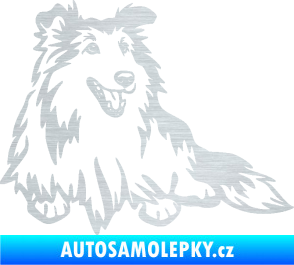 Samolepka Pes 162 pravá sheltie škrábaný hliník