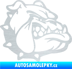 Samolepka Pes 174 pravá rozzuřený buldok škrábaný hliník