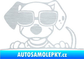 Samolepka Pes s brýlemi 101 levá v autě škrábaný hliník