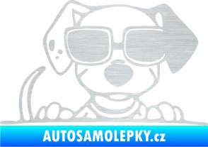 Samolepka Pes s brýlemi 101 pravá v autě škrábaný hliník