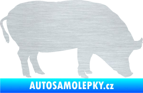 Samolepka Prase 004 pravá škrábaný hliník