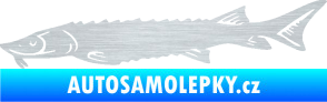 Samolepka Ryba 020 levá jeseter škrábaný hliník