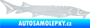 Samolepka Ryba 020 pravá jeseter škrábaný hliník