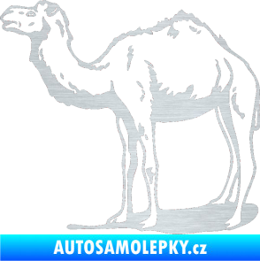 Samolepka Velbloud 001 levá škrábaný hliník