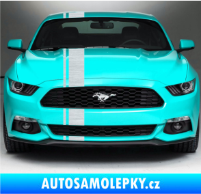 Samolepka Viper pruhy 2 cm + 12 cm škrábaný hliník