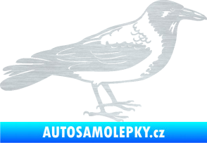 Samolepka Vrána 001 pravá škrábaný hliník
