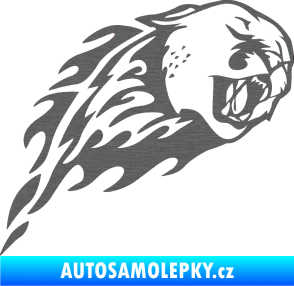 Samolepka Animal flames 083 pravá puma škrábaný titan