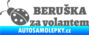 Samolepka Beruška za volantem škrábaný titan