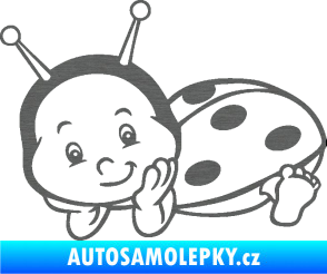 Samolepka Dítě v autě 063 levá beruška škrábaný titan
