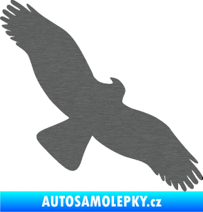 Samolepka Dravec na sklo 001 pravá škrábaný titan
