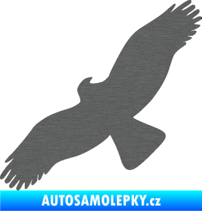Samolepka Dravec na sklo 001 levá škrábaný titan