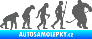 Samolepka Evoluce 003 hokej pravá škrábaný titan